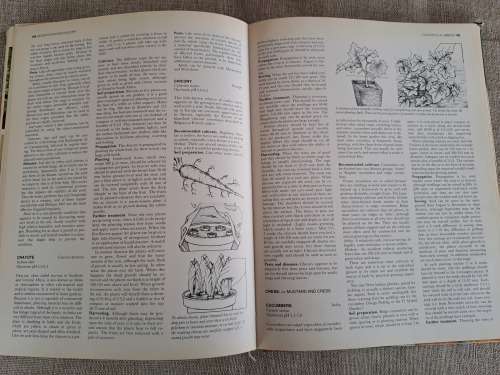 The A-Z of Vegetable Gardening in South Africa - Jack Hadfield