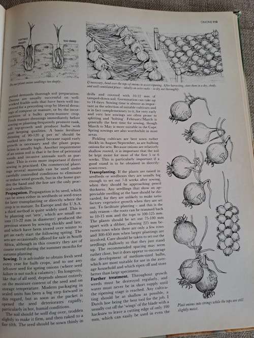 The A-Z of Vegetable Gardening in South Africa - Jack Hadfield