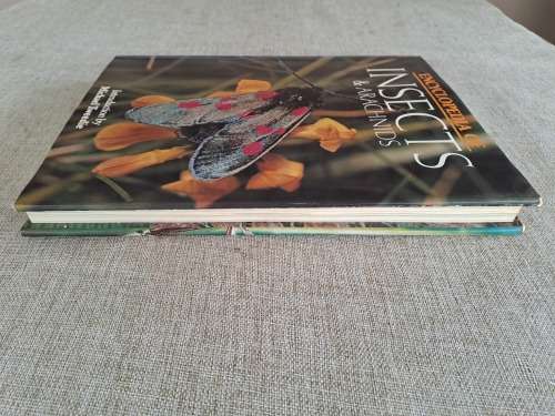 Encyclopedia of Insects & Arachnids