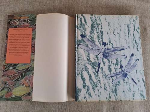 Encyclopedia of Insects & Arachnids