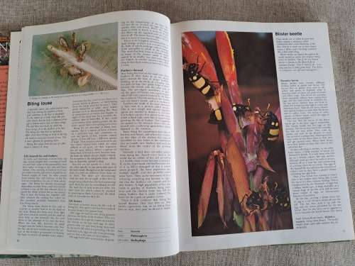 Encyclopedia of Insects & Arachnids