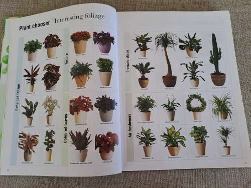 House Plants Indoor plants anyone can grow - Paul Williams