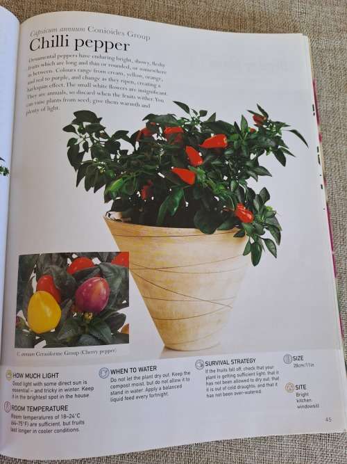House Plants Indoor plants anyone can grow - Paul Williams
