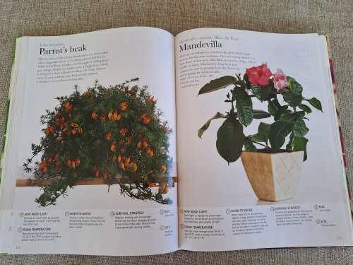 House Plants Indoor plants anyone can grow - Paul Williams
