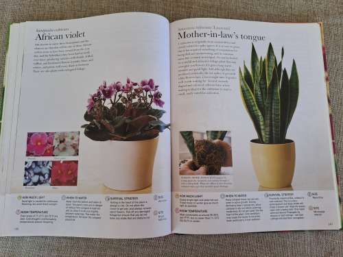 House Plants Indoor plants anyone can grow - Paul Williams