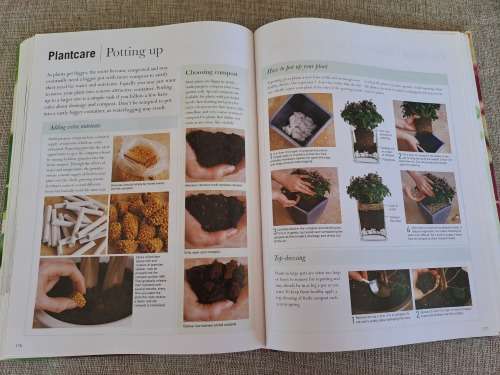 House Plants Indoor plants anyone can grow - Paul Williams