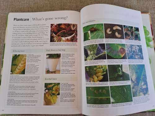 House Plants Indoor plants anyone can grow - Paul Williams