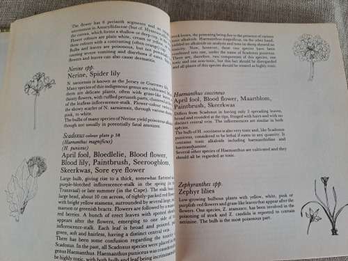 Poisonous Plants in South African Gardens and Parks -Joan Munday