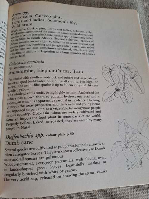 Poisonous Plants in South African Gardens and Parks -Joan Munday