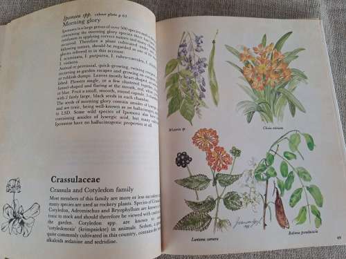 Poisonous Plants in South African Gardens and Parks -Joan Munday