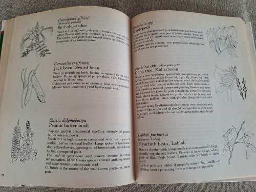 Poisonous Plants in South African Gardens and Parks -Joan Munday