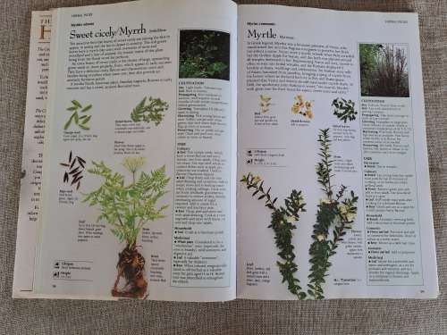 The Complete Book of Herbs - Lesley Bremness