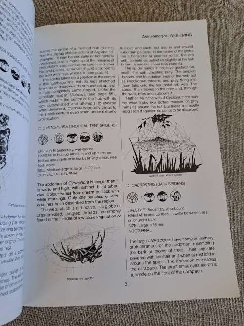 Southern African Spiders An Identification Guide - Martin R. Filmer