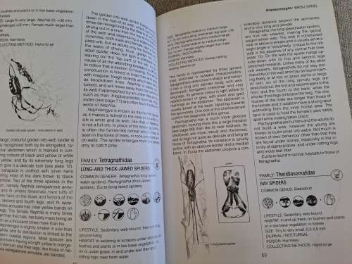 Southern African Spiders An Identification Guide - Martin R. Filmer
