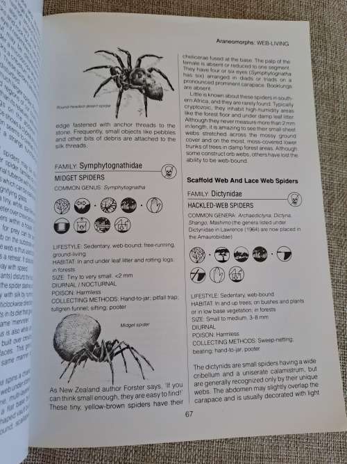 Southern African Spiders An Identification Guide - Martin R. Filmer