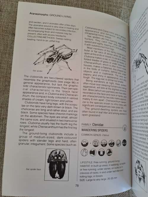 Southern African Spiders An Identification Guide - Martin R. Filmer