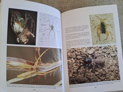 Southern African Spiders An Identification Guide - Martin R. Filmer