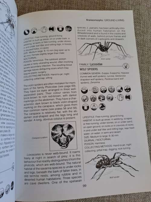 Southern African Spiders An Identification Guide - Martin R. Filmer