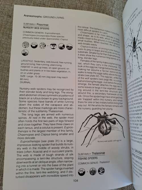 Southern African Spiders An Identification Guide - Martin R. Filmer