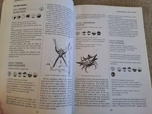 Southern African Spiders An Identification Guide - Martin R. Filmer