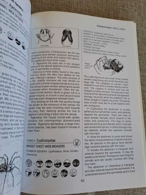 Southern African Spiders An Identification Guide - Martin R. Filmer