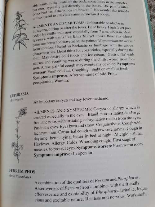 The Homoeopathic Family Guide - Dr. Berkeley Digby