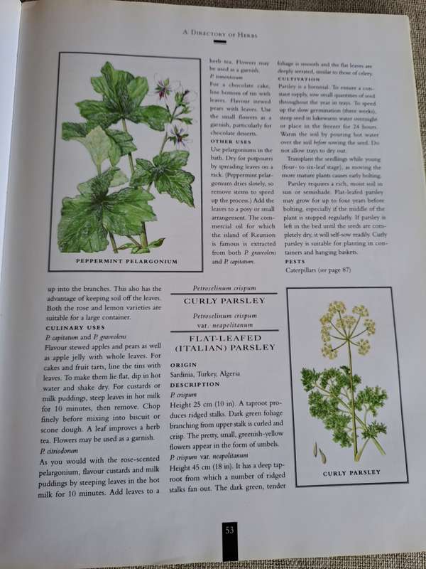 The Illustrated Book of Herbs - Barbara Hey