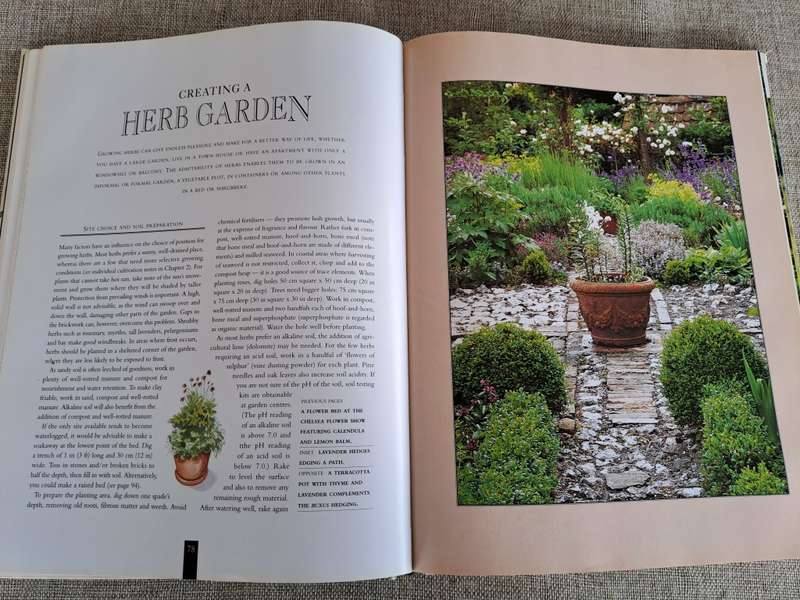 The Illustrated Book of Herbs - Barbara Hey