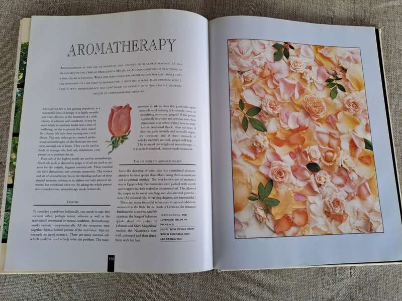 The Illustrated Book of Herbs - Barbara Hey