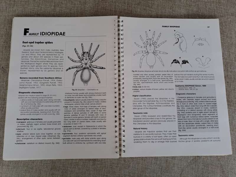 Baboon and Trapdoor Spiders of Southern Africa: An Identification Manual plus CD