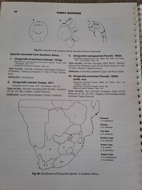 Baboon and Trapdoor Spiders of Southern Africa: An Identification Manual plus CD