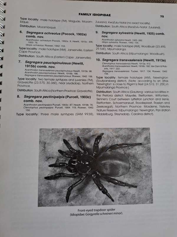 Baboon and Trapdoor Spiders of Southern Africa: An Identification Manual plus CD