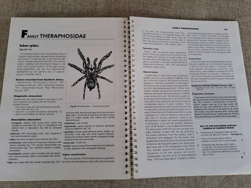 Baboon and Trapdoor Spiders of Southern Africa: An Identification Manual plus CD