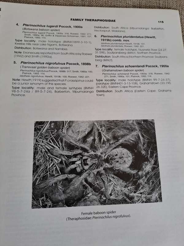 Baboon and Trapdoor Spiders of Southern Africa: An Identification Manual plus CD