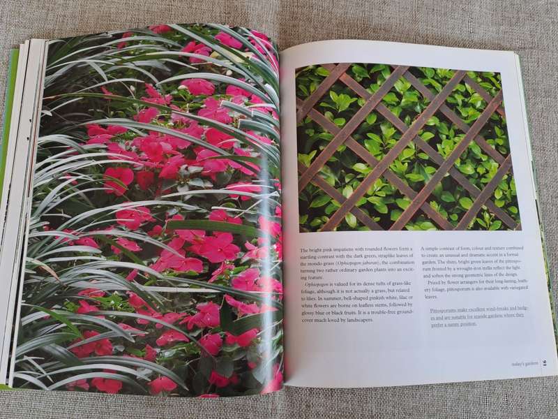 Today`s Gardens - Suzette Stephenson & Louise van Rooyen