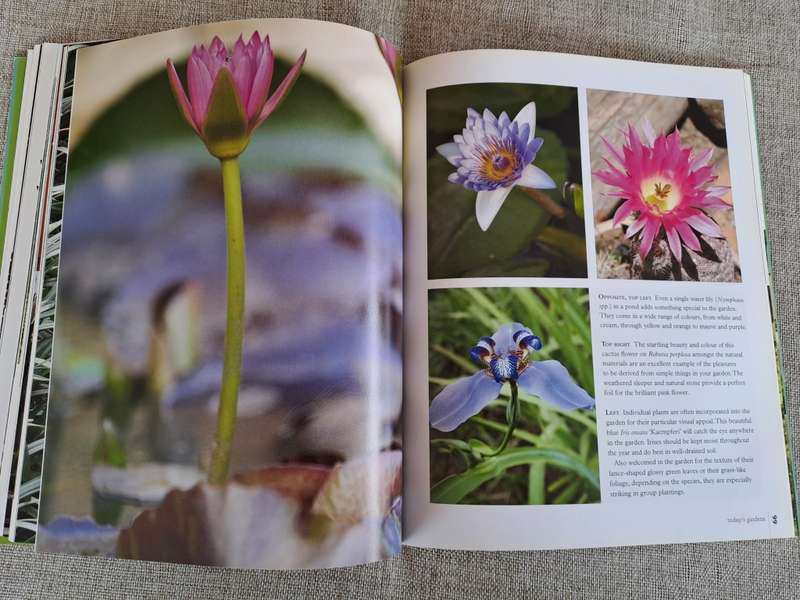 Today`s Gardens - Suzette Stephenson & Louise van Rooyen