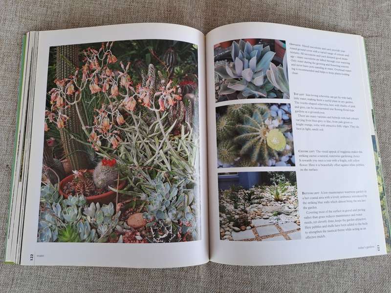 Today`s Gardens - Suzette Stephenson & Louise van Rooyen