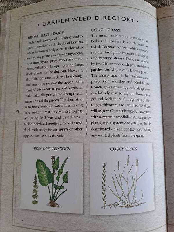 Garden Problem Solver - Mitchell Beazley