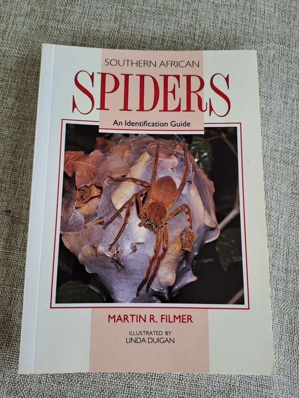 Southern African Spiders An Identification Guide - Martin R. Filmer