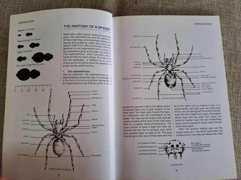 Southern African Spiders An Identification Guide - Martin R. Filmer