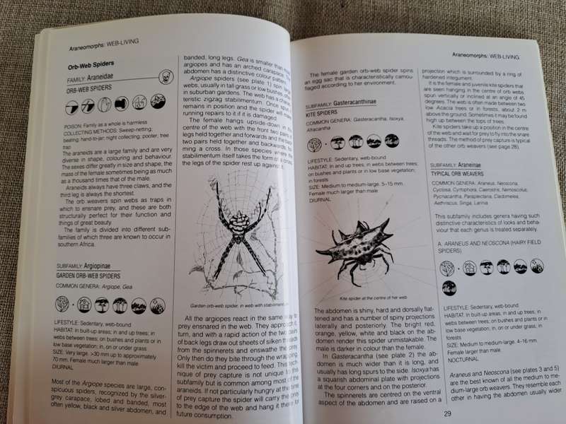 Southern African Spiders An Identification Guide - Martin R. Filmer