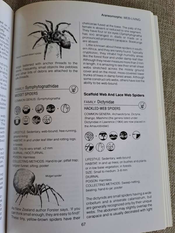 Southern African Spiders An Identification Guide - Martin R. Filmer