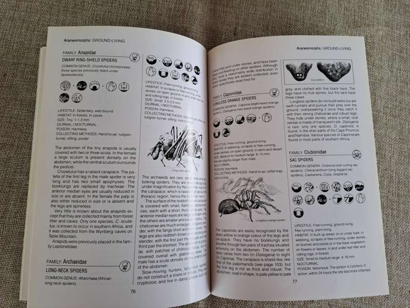 Southern African Spiders An Identification Guide - Martin R. Filmer