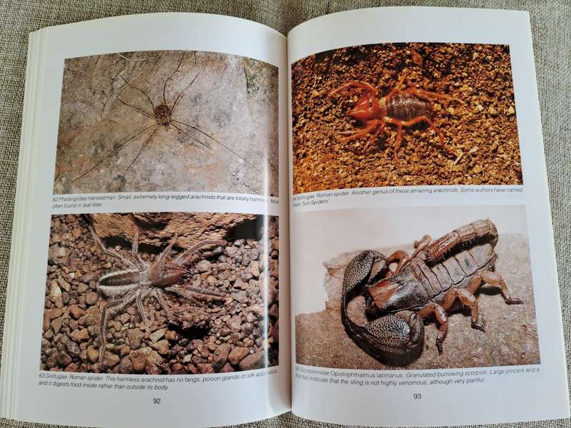 Southern African Spiders An Identification Guide - Martin R. Filmer