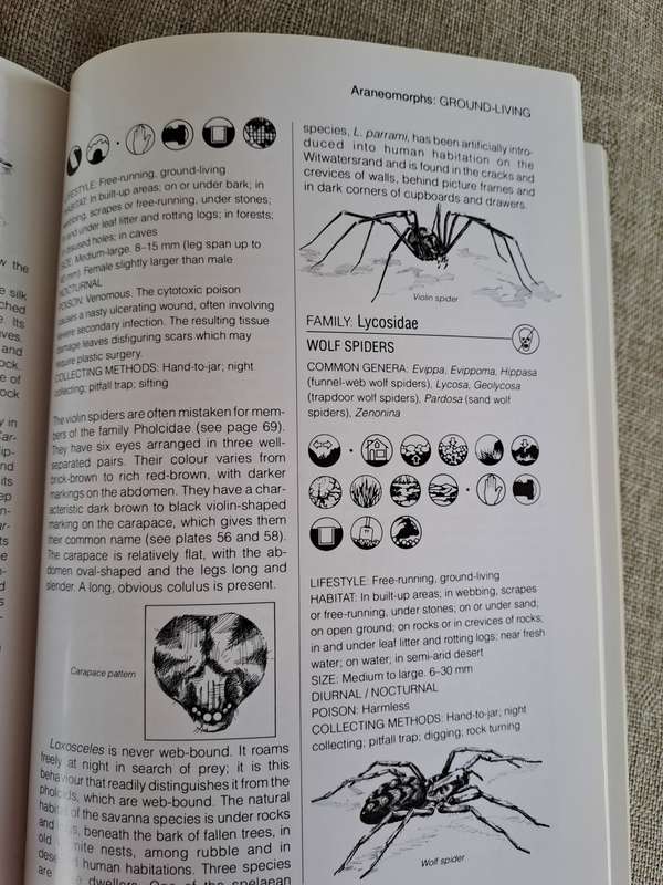 Southern African Spiders An Identification Guide - Martin R. Filmer