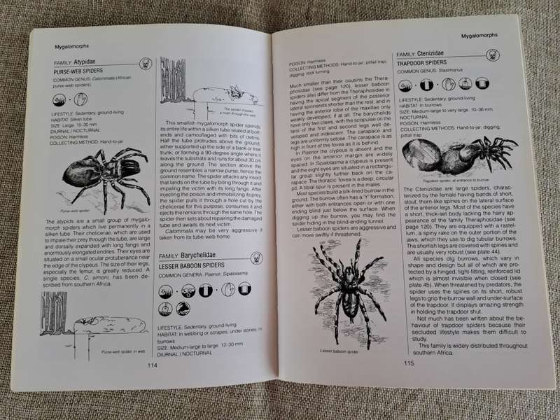 Southern African Spiders An Identification Guide - Martin R. Filmer