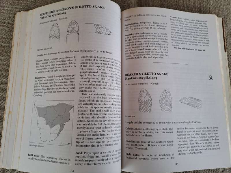 A Complete Guide to the Snakes of Southern Africa