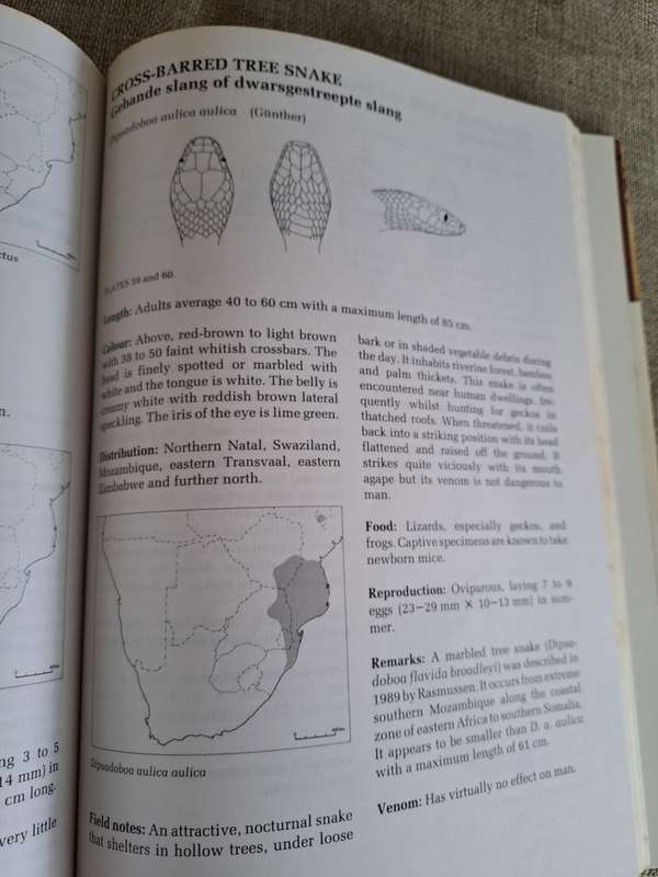 A Complete Guide to the Snakes of Southern Africa