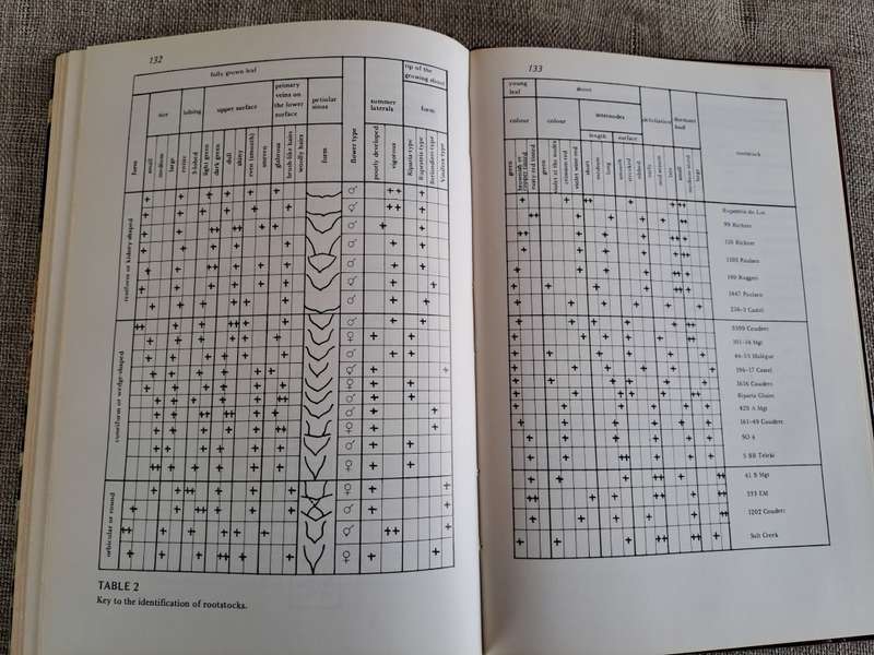 Rootstocks for Grape-vines - D. P. Pongracz