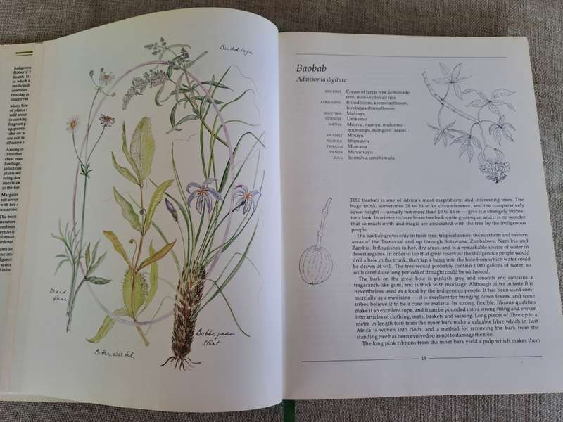 Indigenous Healing Plants - Margaret Roberts